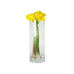 Case Of 6 - Glass Cylinder Vase, H-14" D-5" -Home Decoration Discount 14 glass cylinder vase gcy 055 14 1