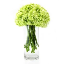 Case Of 6 - Glass Cylinder Vase, H-14" D-5" -Home Decoration Discount 14 glass cylinder vase gcy 055 14 2