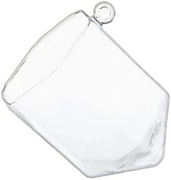 Hexagonal Frameless Geometric Glass Terrarium - 6 Pieces