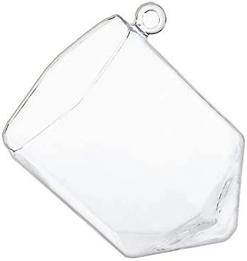 Hexagonal Frameless Geometric Glass Terrarium - 6 Pieces 1 Hexagonal Frameless Geometric Glass Terrarium - 6 Pieces