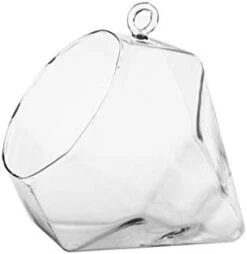 Diamond Frameless Geometric Glass Terrarium - 6 Pieces