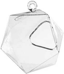 Icosahedron Frameless Geometric Terrarium - 24 Pieces 5 Icosahedron Frameless Geometric Terrarium - 24 Pieces -Home Decoration Discount 31vBmpDHDlL. AC 67247.1661721345.1280.1280