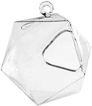 Icosahedron Frameless Geometric Terrarium - 24 Pieces 3 Icosahedron Frameless Geometric Terrarium - 24 Pieces - Image 3