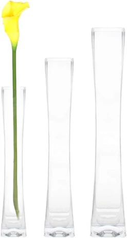 17" Unique Concaved Square Tall Glass Vase - 12 Pieces -Home Decoration Discount 418F8PkA5LL. AC SL1000 68526.1661669829.1280.1280