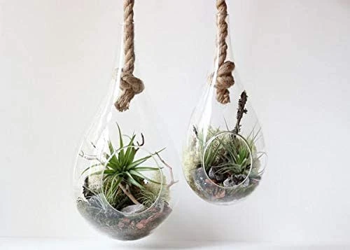 5" X 9.5" Rope Hanging Terrarium - 12 Pieces 5 5" X 9.5" Rope Hanging Terrarium - 12 Pieces - Image 5