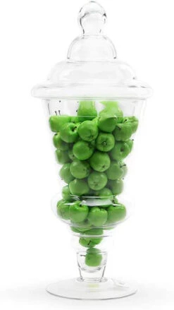20.5" X 9" Apothecary Jar For Candy Buffet - 4 Pieces -Home Decoration Discount 41WGAHkxRiL. AC SL1000 02929.1661949699.1280.1280