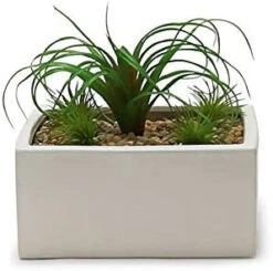 6.25" X 4" White Low Square Block - 12 Pieces -Home Decoration Discount 41aQvrNx6eL. AC 71938.1661709462.1280.1280