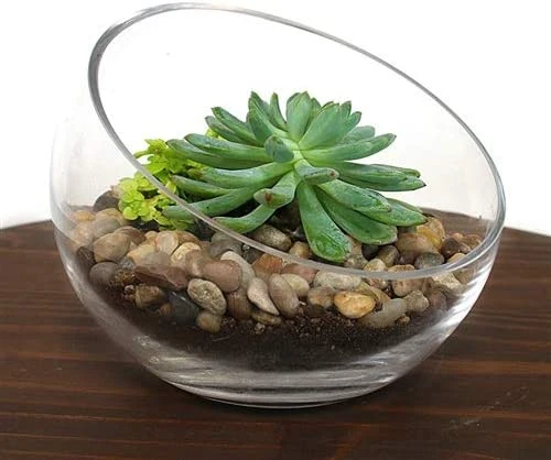 11" X 10" Slant Bowl Glass Vase - 2 Pieces 5 11" X 10" Slant Bowl Glass Vase - 2 Pieces - Image 5