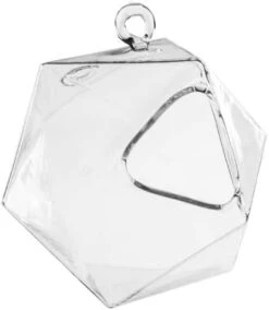 Icosahedron Frameless Geometric Terrarium - 24 Pieces