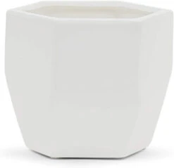 5.5" X 5" Medium Geometric Pot - Matte White - 12 Pieces