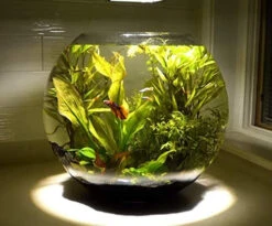 10" X 8" Clear Bubble Bowl Vase - 4 Pieces -Home Decoration Discount 510KnBoFSUL. AC 13990.1661950212.1280.1280