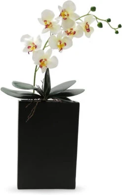 8" X 2.5" X 12" Black Tall Flat Rectangle - 6 Pieces 7 8" X 2.5" X 12" Black Tall Flat Rectangle - 6 Pieces -Home Decoration Discount 512i2XTBUjL. AC SL1351 33997.1663110137.1280.1280