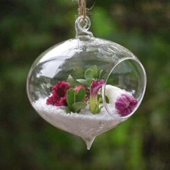 5" X 6" Rope Hanging Terrarium - 24 Pieces 17 5" X 6" Rope Hanging Terrarium - 24 Pieces -Home Decoration Discount 5176NQZtxdL. AC 65699.1661649024.1280.1280