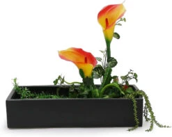 16" X 9" X 3.3" Black Long Low Rectangle - 6 Pieces 7 16" X 9" X 3.3" Black Long Low Rectangle - 6 Pieces -Home Decoration Discount 51FlhIWMv3L. AC SL1022 28404.1672023709.1280.1280