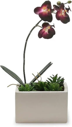 6.25" X 4" White Low Square Block - 12 Pieces -Home Decoration Discount 51H FwLgOUL. AC SL1399 39367.1661709462.1280.1280