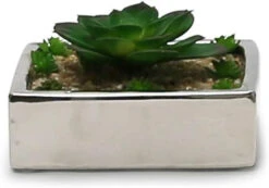6"x 6"x 2" Silver Low Square Block - 12 Pieces 7 6"x 6"x 2" Silver Low Square Block - 12 Pieces -Home Decoration Discount 51q9c9EMF1L. AC SL1247 80187.1661803790.1280.1280