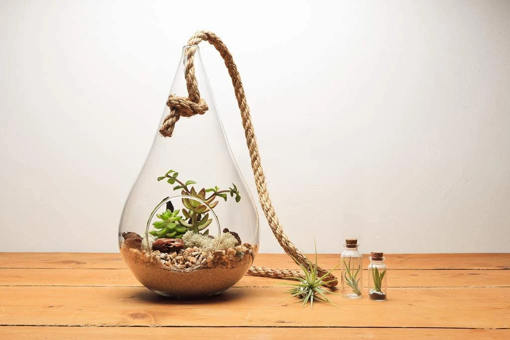 5" X 9.5" Rope Hanging Terrarium - 12 Pieces 6 5" X 9.5" Rope Hanging Terrarium - 12 Pieces - Image 6