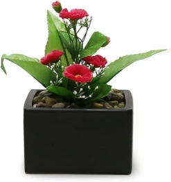 6.25" X 4" Black Low Square Block - 12 Pieces -Home Decoration Discount 51xC2xbD6BL. AC SL1292 90725.1661733717.1280.1280
