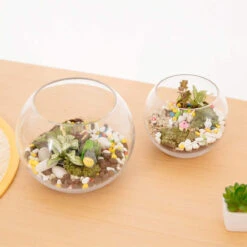 8" X 6.3" Clear Bubble Bowl Vase - 6 Pieces -Home Decoration Discount 61GbChFwtQL. AC SL1500 35926.1661372073.1280.1280