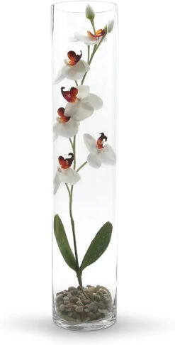 5" X 24" Cylinder Glass Vase - 6 Pieces -Home Decoration Discount 61HDLhPEcuL. AC SL1500 60480.1661950990.1280.1280