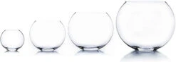 8 Inch Clear Moon Bowl Vase - 6 Pieces -Home Decoration Discount 61KJtOtkp4L. AC SL1500 50695.1661710928.1280.1280