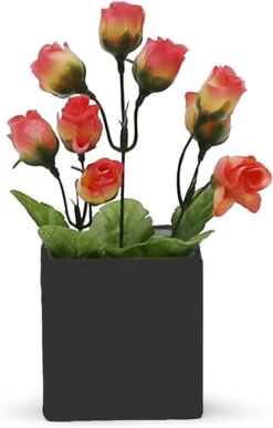 6 Inch Black Square Cube - 6 Pieces 10 6 Inch Black Square Cube - 6 Pieces -Home Decoration Discount 61Ky76n5FzL. AC SL1500 11520.1661768683.1280.1280