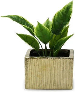 6.25" X 4" Gold Low Square Block - 12 Pieces -Home Decoration Discount 61NWxEiW7rL. AC SL1500 11087.1663176638.1280.1280