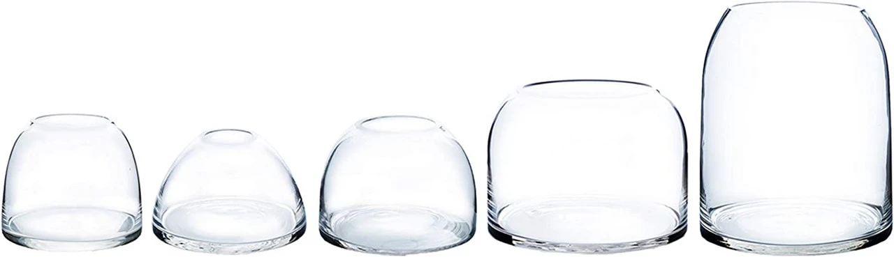 Clear Dome Shape Terrarium Bowl Glass Vase, 7 Inches High - 4 Pieces 3 Clear Dome Shape Terrarium Bowl Glass Vase, 7 Inches High - 4 Pieces - Image 3