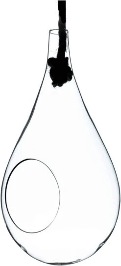 5" X 9.5" Rope Hanging Terrarium - 12 Pieces 15 5" X 9.5" Rope Hanging Terrarium - 12 Pieces -Home Decoration Discount 61irpMDQ 2L. AC SL1500 98540.1661953356.1280.1280