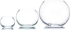 3 Inch Clear Square Moon Vase - 24 Pieces -Home Decoration Discount 61jQOjOcigL. AC SL1500 24429.1662029787.1280.1280