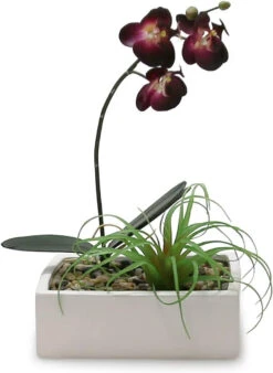 8" X 4" White Low Square Block - 6 Pieces -Home Decoration Discount 61tB 7COYFL. AC SL1500 16563.1661733795.1280.1280