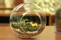 7" X 8" Hanging Round Terrarium Candle Holder - 12 Pieces -Home Decoration Discount 61yYR3v6R0L. AC SL1024 59820.1661951745.1280.1280