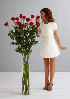 6" X 26" Cylinder Glass Vase - 4 Pieces 10 6" X 26" Cylinder Glass Vase - 4 Pieces -Home Decoration Discount 710yioBVoTL. AC SL1500 01266.1661946545.1280.1280