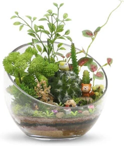 7" X 6" X 3" Slant Bowl Glass Vase - 8 Pieces -Home Decoration Discount 712Jc3 9 8L. AC SL1500 32927.1661349462.1280.1280