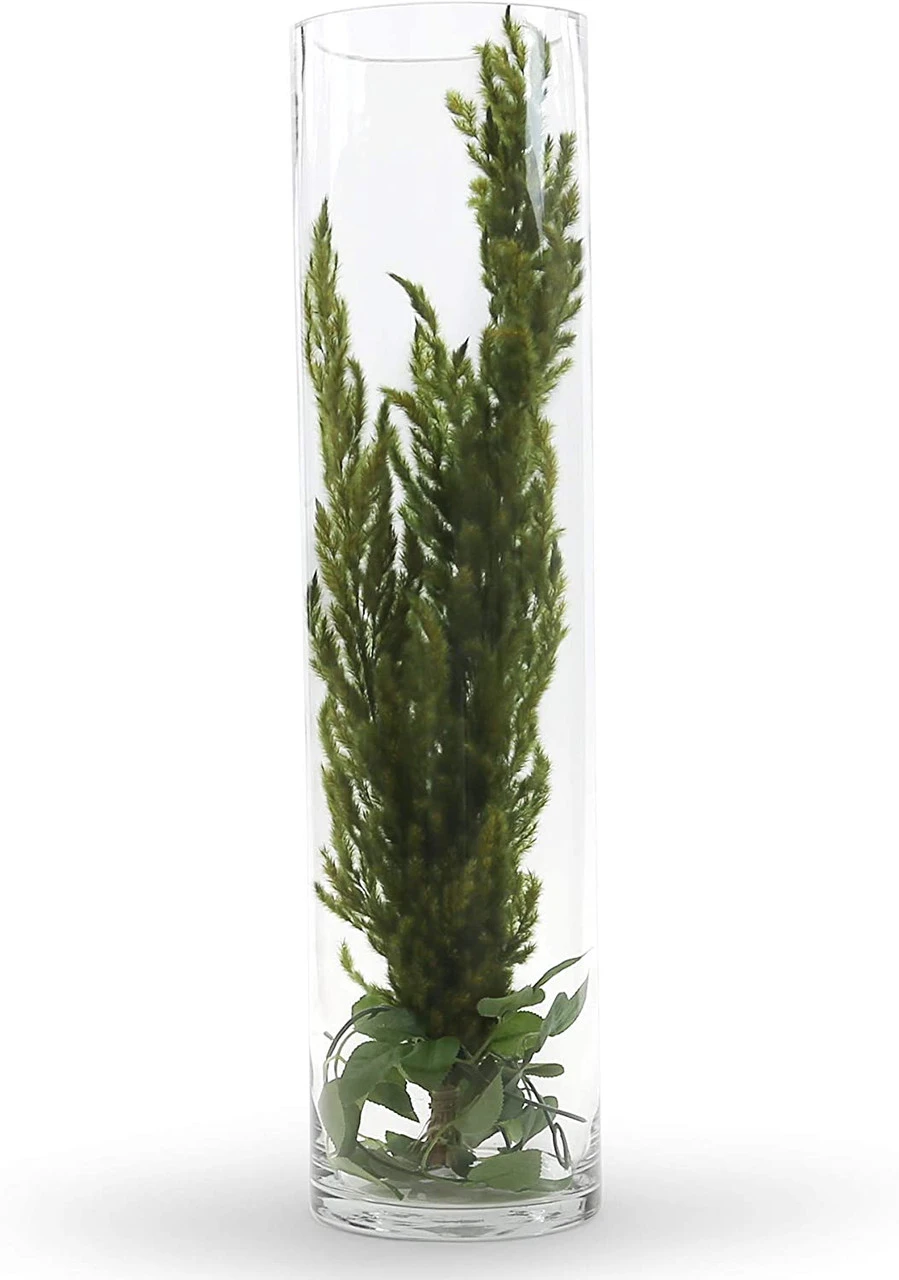 6" X 20" Cylinder Glass Vase - 6 Pieces 3 6" X 20" Cylinder Glass Vase - 6 Pieces - Image 3