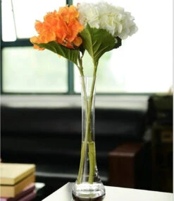7.75 Inch Clear Small Round Bud Vase - 24 Pieces 11 7.75 Inch Clear Small Round Bud Vase - 24 Pieces -Home Decoration Discount 717IhEEHLhL. AC SL1500 75356.1661707985.1280.1280