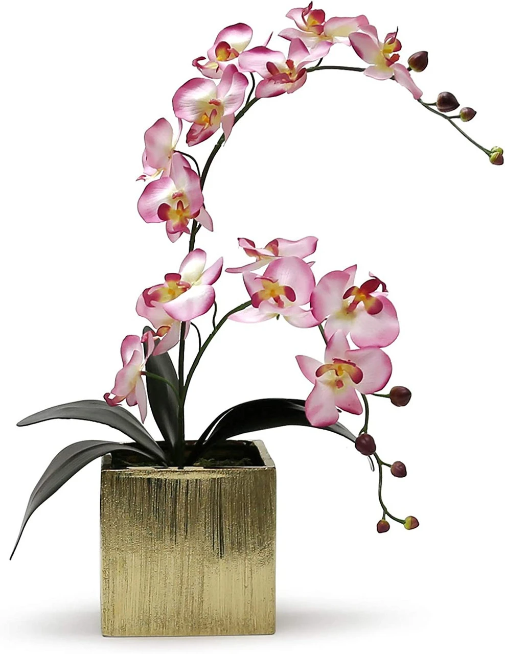 6 Inch Gold Square Cube - 6 Pieces 3 6 Inch Gold Square Cube - 6 Pieces - Image 3