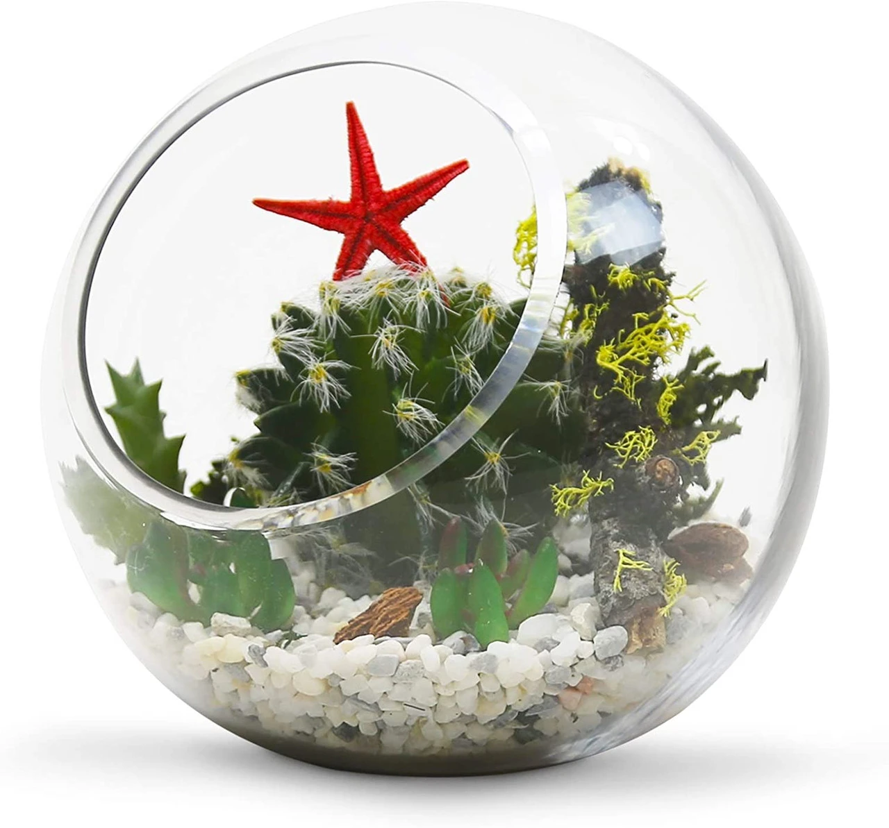 5.5" X 5.7" Clear Slant Bubble Bowl Vase - 12 Pieces 2 5.5" X 5.7" Clear Slant Bubble Bowl Vase - 12 Pieces - Image 2