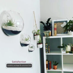 6" Diameter Glass Terrarium - 24 Pieces -Home Decoration Discount 71ANlkH ZoL. AC SL1500 15107.1661957175.1280.1280