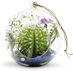 7" X 8" Hanging Round Terrarium Candle Holder - 12 Pieces -Home Decoration Discount 71C3ofOSNgL. AC SL1500 73285.1661951741.1280.1280