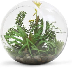 10 Inch Clear Slant Bubble Bowl Vase - 4 Pieces 9 10 Inch Clear Slant Bubble Bowl Vase - 4 Pieces -Home Decoration Discount 71EzS5xKwnL. AC SL1500 03324.1661704855.1280.1280