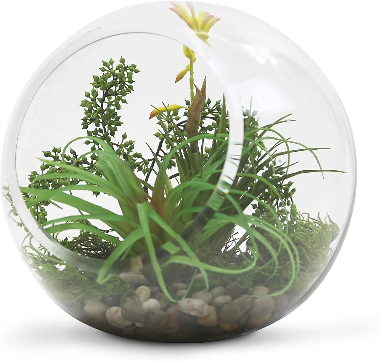 10 Inch Clear Slant Bubble Bowl Vase - 4 Pieces 4 10 Inch Clear Slant Bubble Bowl Vase - 4 Pieces - Image 4