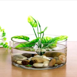 8" X 4" Cylinder Glass Vase - 6 Pieces -Home Decoration Discount 71Gn0VsQTjL. AC SL1500 44721.1661709283.1280.1280