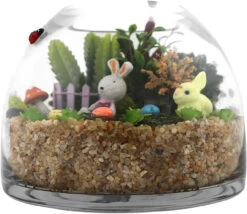 Clear Dome Shape Terrarium Bowl Glass Vase, 5.7 Inches High - 6 Pieces -Home Decoration Discount 71IiHCJHMGL. AC SL1500 92785.1670492952.1280.1280