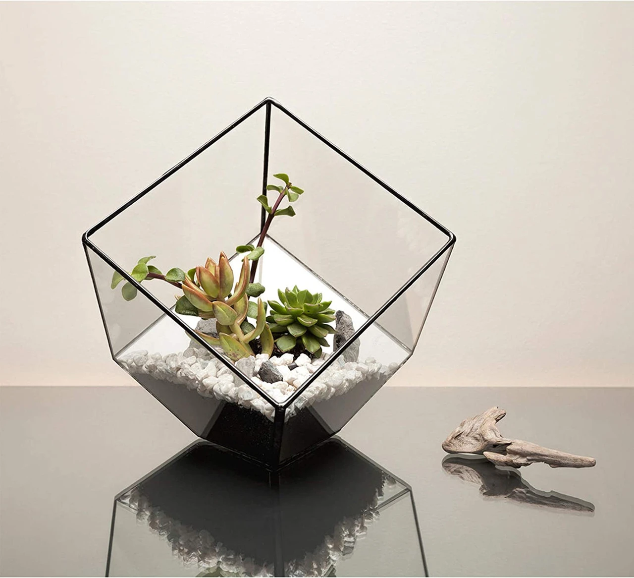 Black Tilted Cube Geometric Glass Terrarium, Heptahedron - 12 Pieces 7 Black Tilted Cube Geometric Glass Terrarium, Heptahedron - 12 Pieces - Image 7