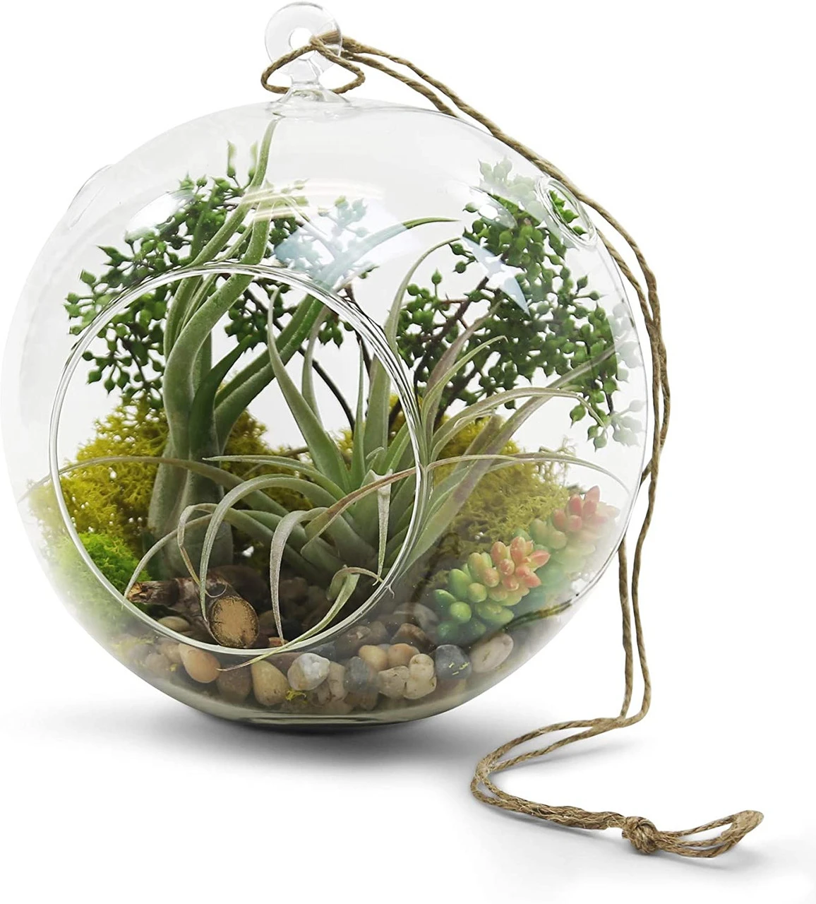 8" X 9" Hanging Round Terrarium Candle Holder - 12 Pieces 5 8" X 9" Hanging Round Terrarium Candle Holder - 12 Pieces - Image 5