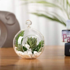 4" X 5" Hanging Round Terrarium Candle Holder - 48 Pieces 15 4" X 5" Hanging Round Terrarium Candle Holder - 48 Pieces -Home Decoration Discount 71LFAFYAzHL. AC SL1500 94083.1661951582.1280.1280
