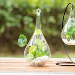 4" X 9.5" Hanging Pear Terrarium Candle Holder - 24 Pieces 14 4" X 9.5" Hanging Pear Terrarium Candle Holder - 24 Pieces -Home Decoration Discount 71Lajmqe6KL. AC SL1500 07908.1661953028.1280.1280