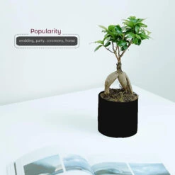 6.5" X 6" Black Cylinder Ceramic - 6 Pieces -Home Decoration Discount 71M360za5FL. AC SL1500 69267.1661769790.1280.1280