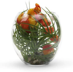 7.5"x 8" Clear Bubble Bowl Vase - 4 Pieces 10 7.5"x 8" Clear Bubble Bowl Vase - 4 Pieces -Home Decoration Discount 71OeoeP7GYL. AC SL1500 75159.1661949526.1280.1280